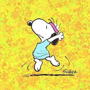 Meet your Posher, Tara